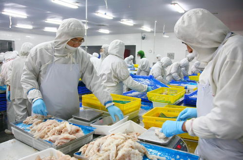 職業(yè)化設(shè)計視角下的食品工廠排水系統(tǒng)與婚姻介紹服務(wù)的共通點(diǎn)探析